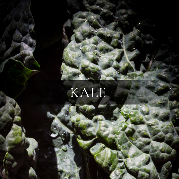 ingredients-kale