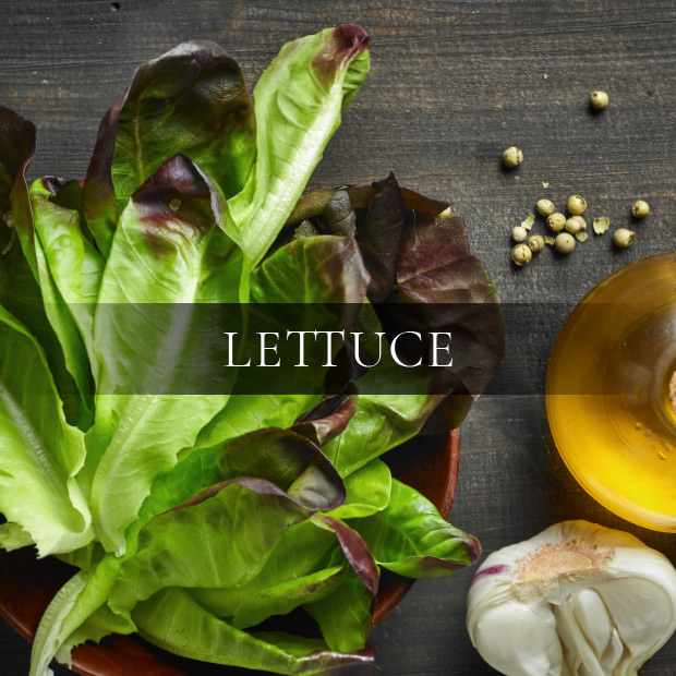 ingredients-lettuce