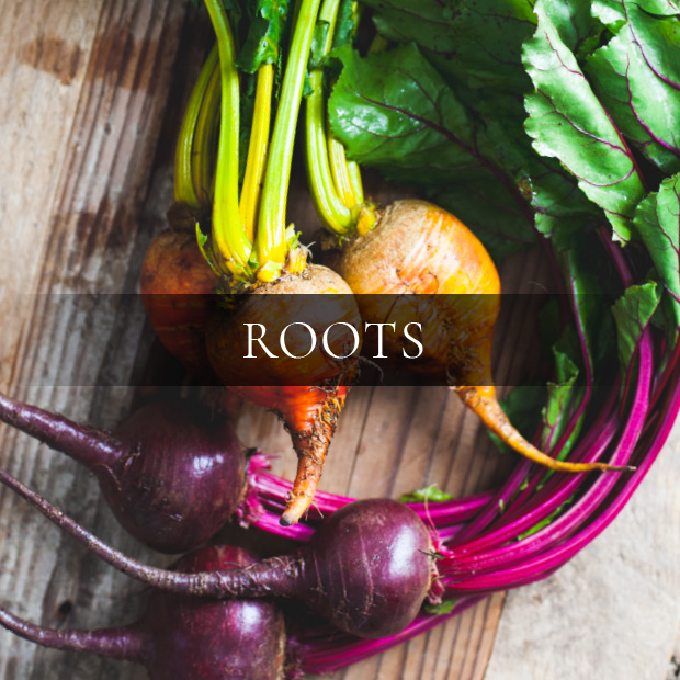 ingredients-roots